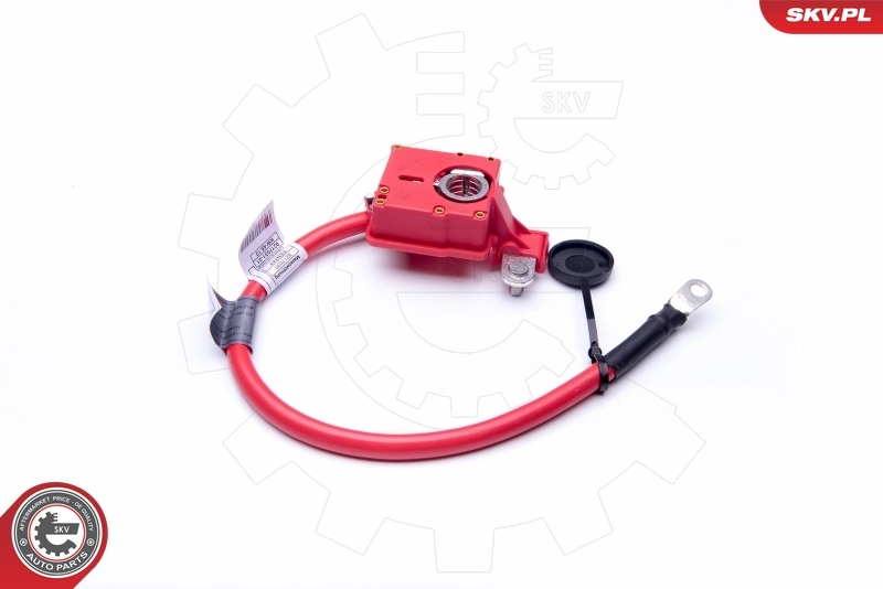 ESEN SKV 96SKV302 Battery Adapter