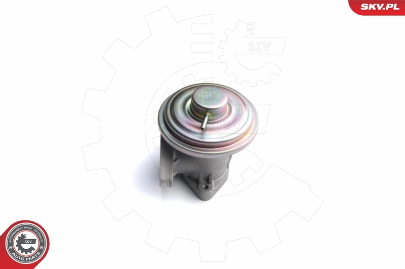 EGR Valve 14SKV098