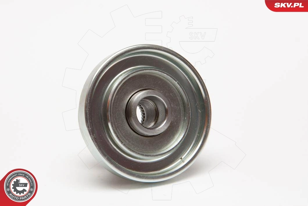 ESEN SKV 11SKV049 Alternator Freewheel Clutch