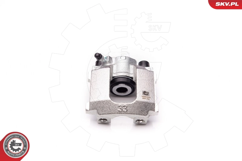 Brake Caliper 34SKV203