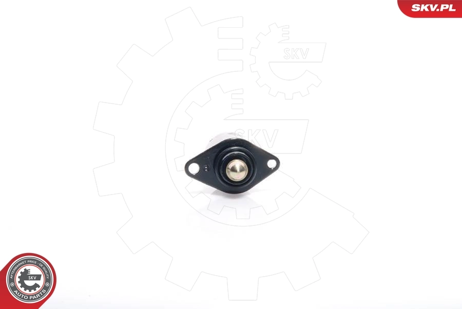 Idle Control Valve, air supply 08SKV005