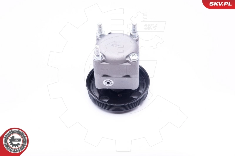 Hydraulic Pump, steering 10SKV257