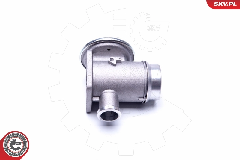 EGR Valve 14SKV176