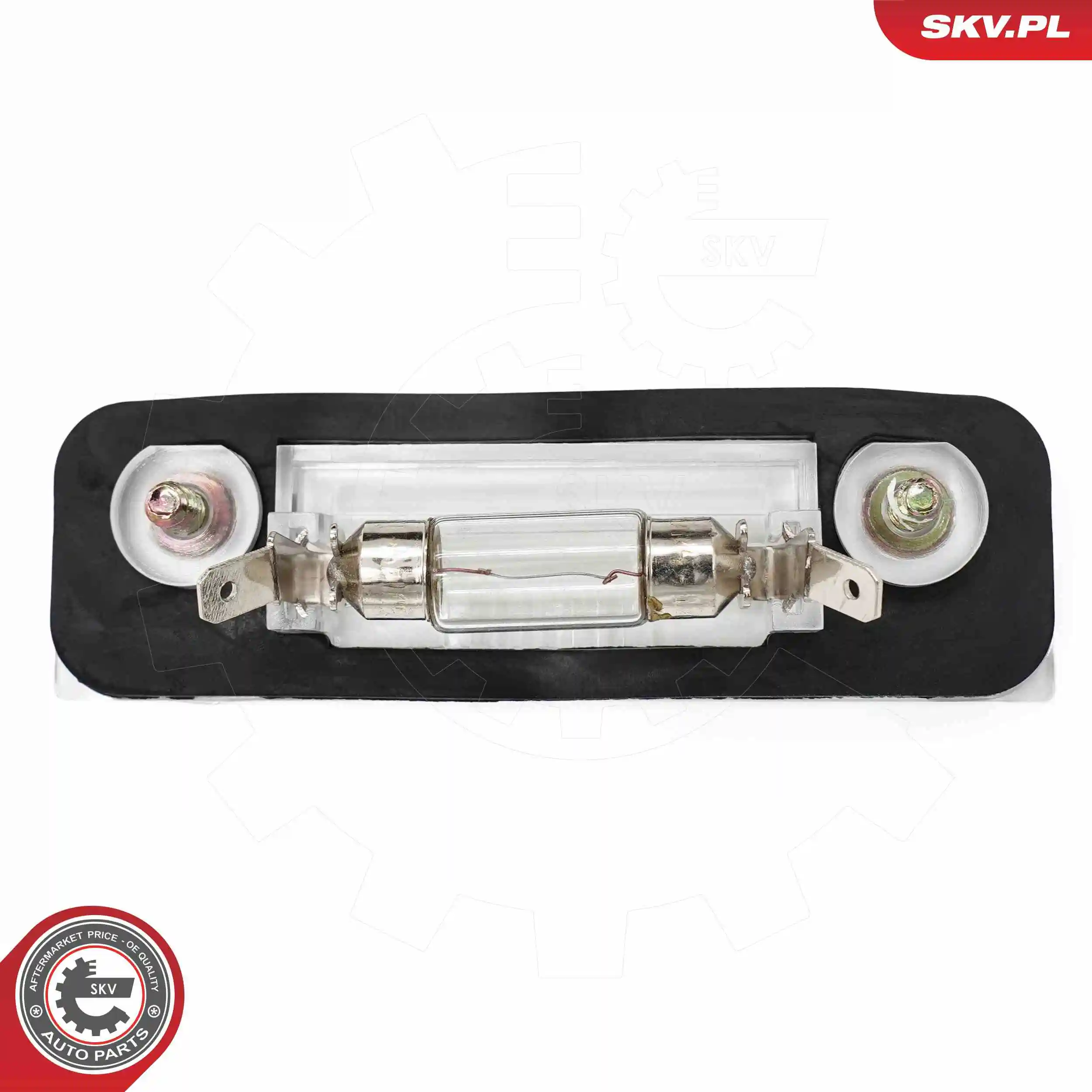 Licence Plate Light 72SKV010