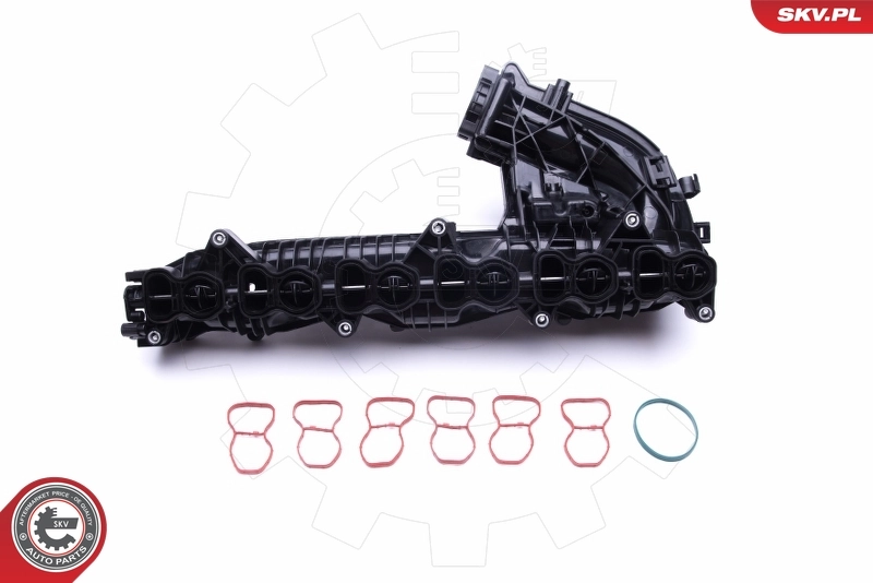 Intake Manifold Module 49SKV019