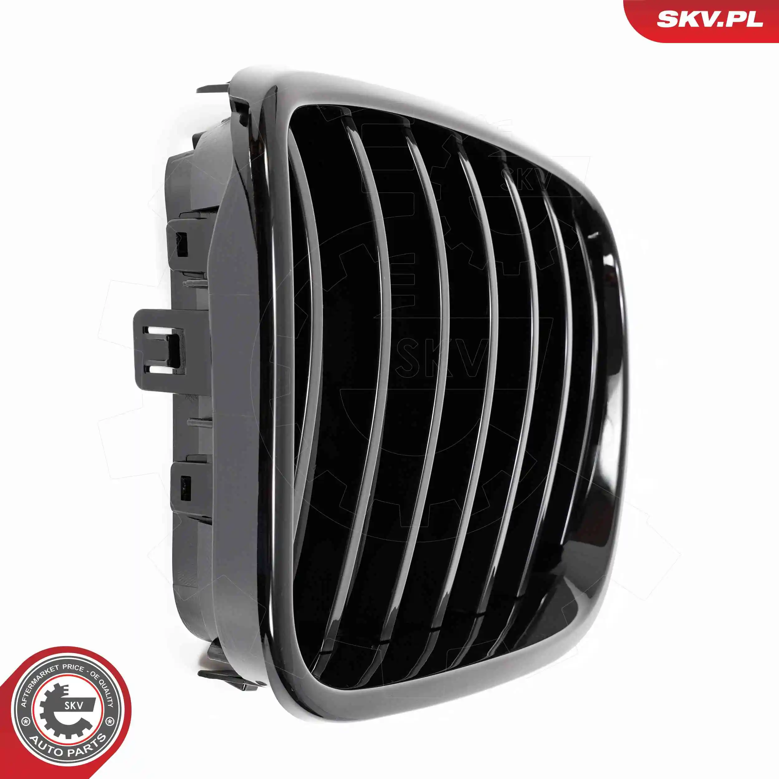 ESEN SKV 66SKV248 Radiator Grille