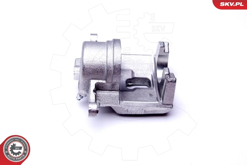 Brake Caliper 45SKV721