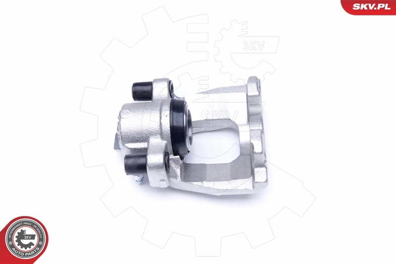 Brake Caliper 42SKV261