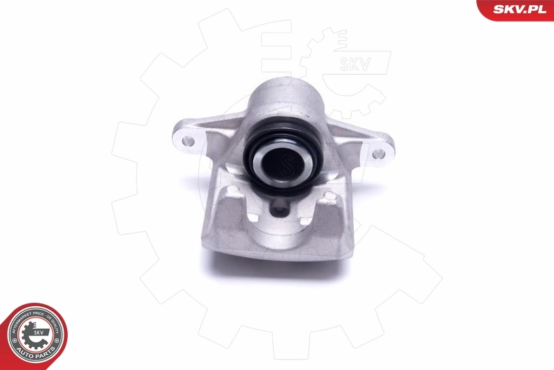 Brake Caliper 55SKV453