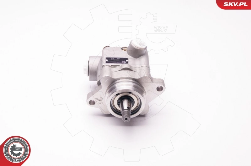 ESEN SKV 1SKV0005 Hydraulic Pump, steering