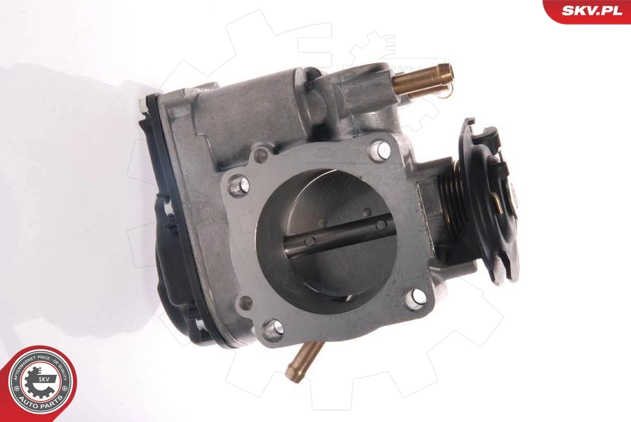 Throttle Body 12SKV020