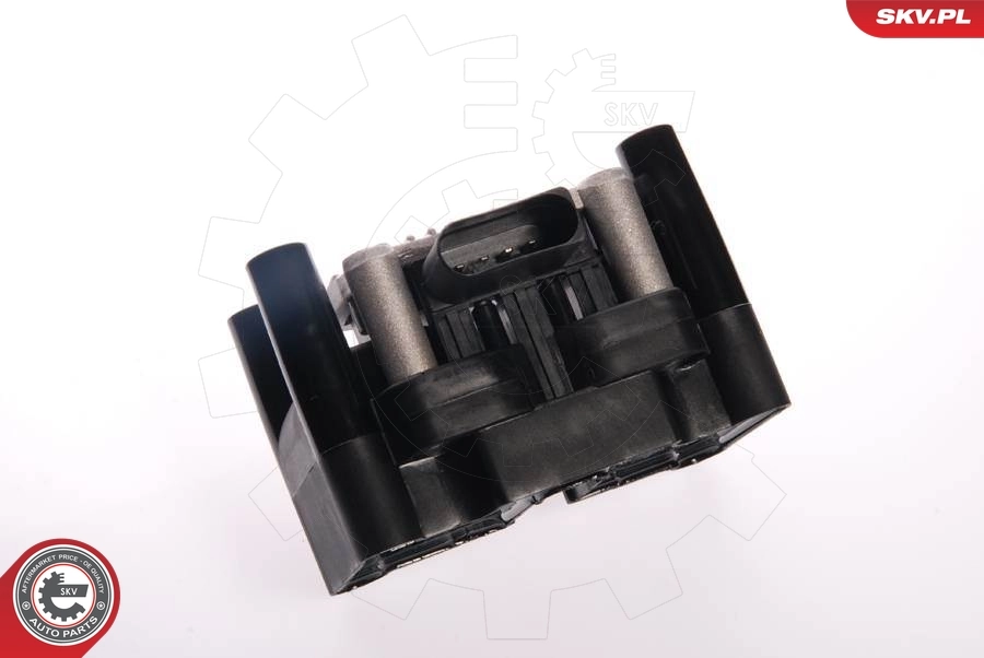 Ignition Coil 03SKV007