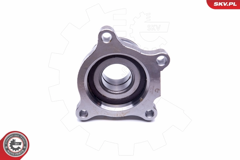 Wheel Bearing Kit 29SKV191