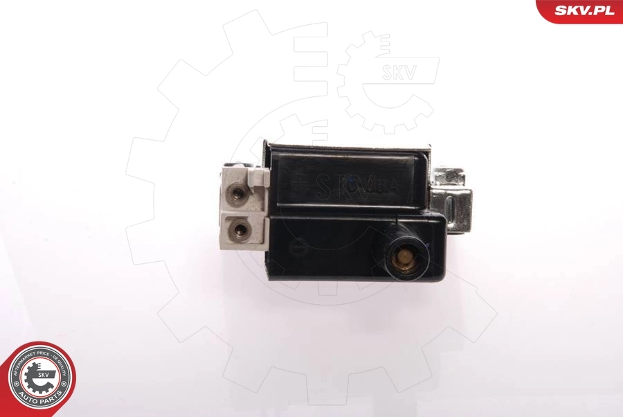 Ignition Coil 03SKV037