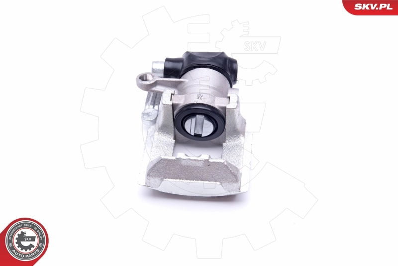 Brake Caliper 42SKV104
