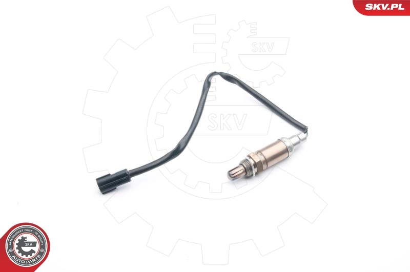 Oxygen Sensor 09SKV720
