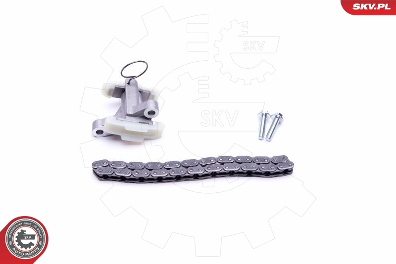 Timing Chain Kit 21SKV182