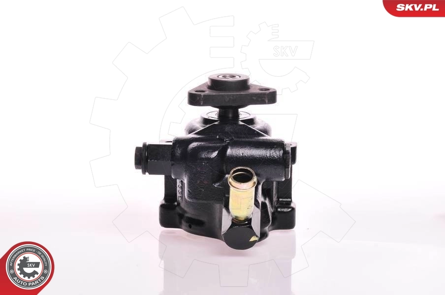 Hydraulic Pump, steering 10SKV179