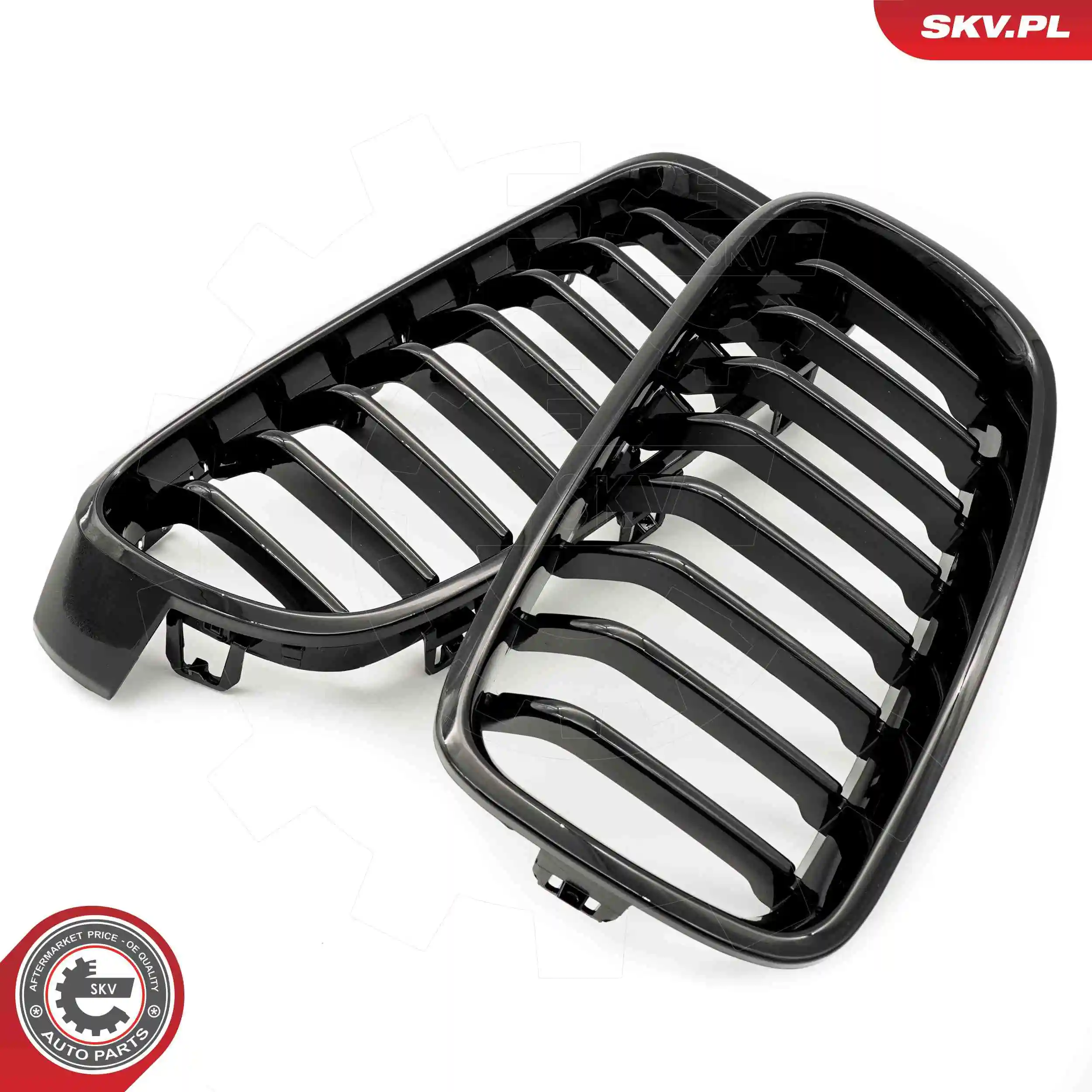 Radiator Grille 66SKV120