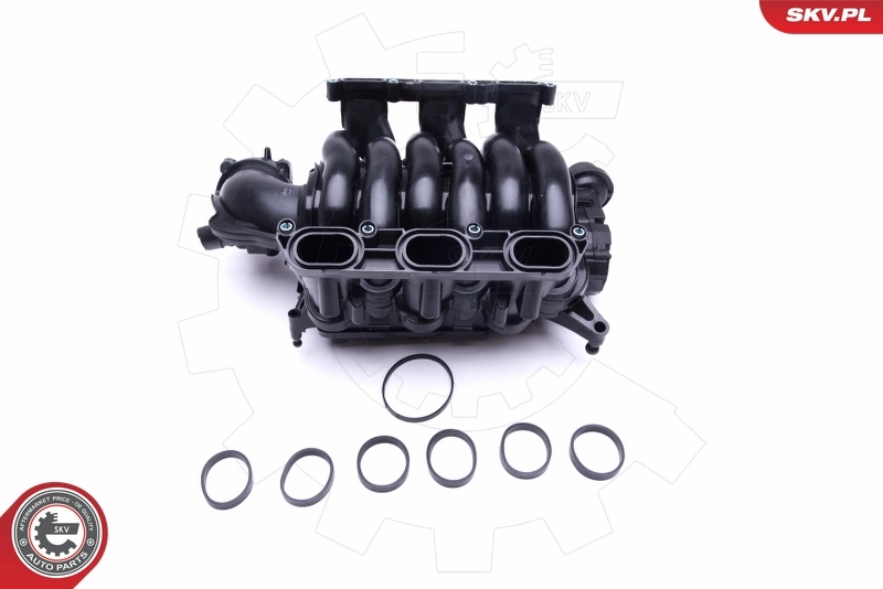 Intake Manifold Module 49SKV004