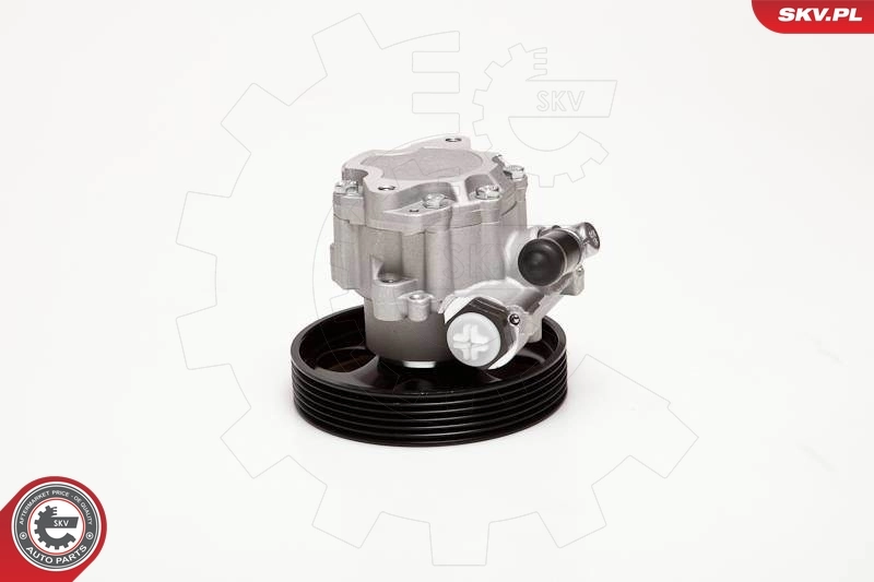 Hydraulic Pump, steering 10SKV100