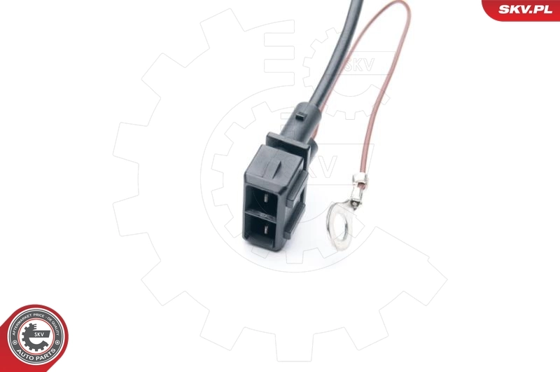 ESEN SKV 09SKV523 Lambda Sensor