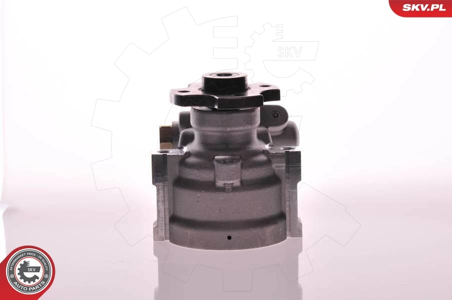 Hydraulic Pump, steering 10SKV133