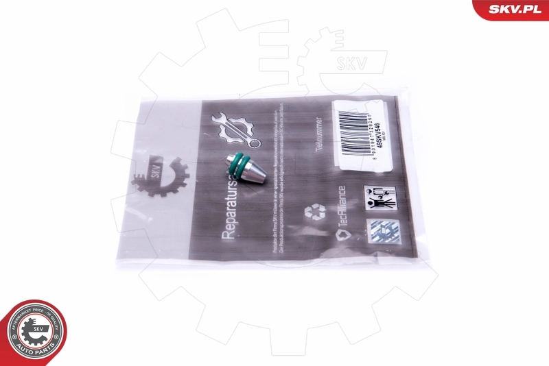 Repair Kit, intake manifold module 49SKV546