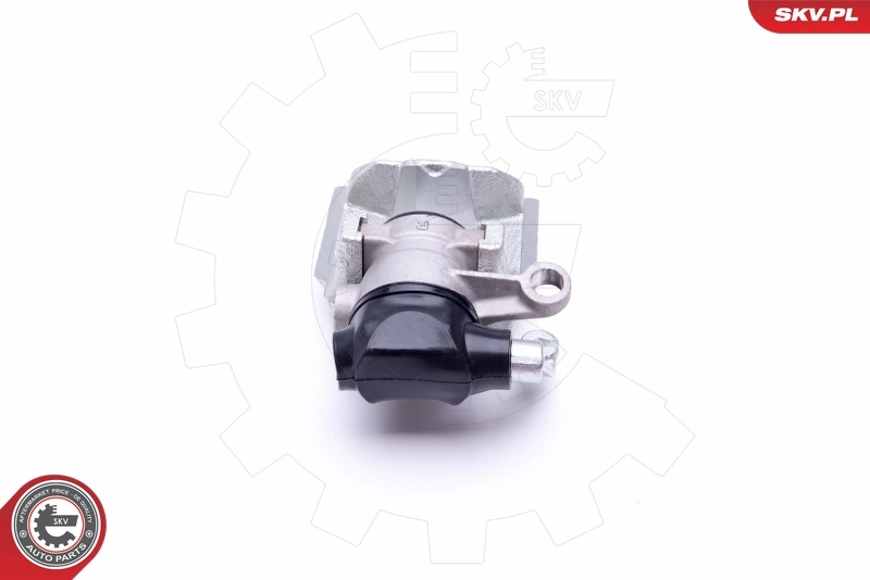 Brake Caliper 42SKV104