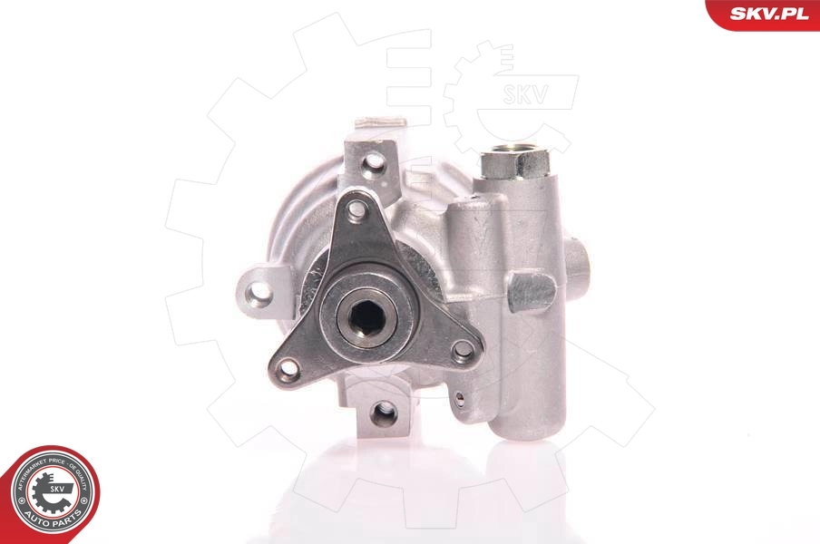 Hydraulic Pump, steering 10SKV021
