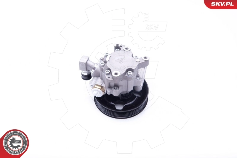 Hydraulic Pump, steering 10SKV192