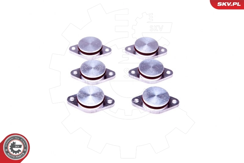 Repair Kit, intake manifold module 49SKV542