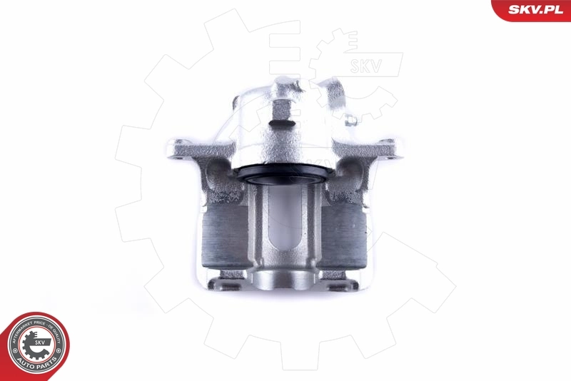 Brake Caliper 55SKV052