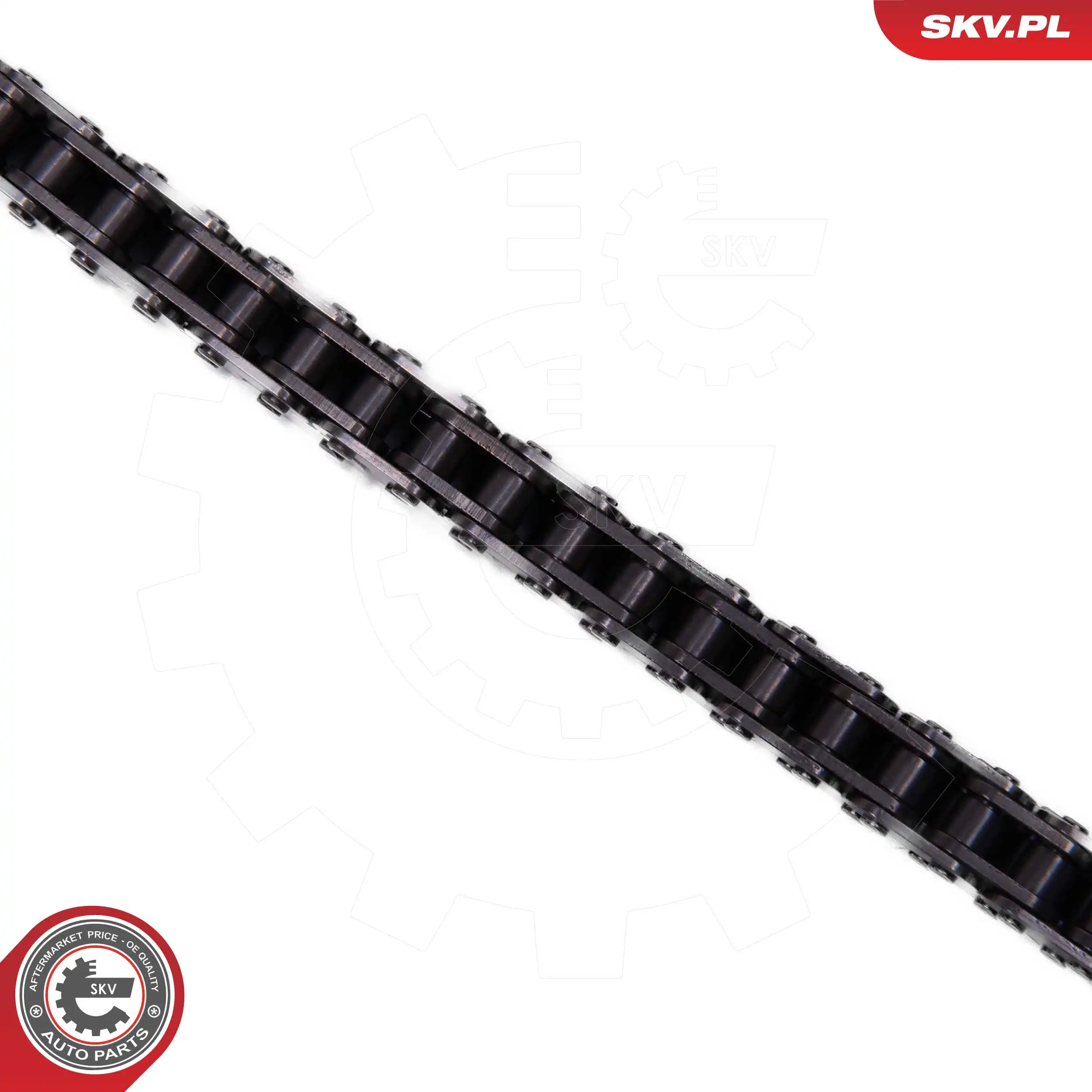 Timing Chain Kit 21SKV261