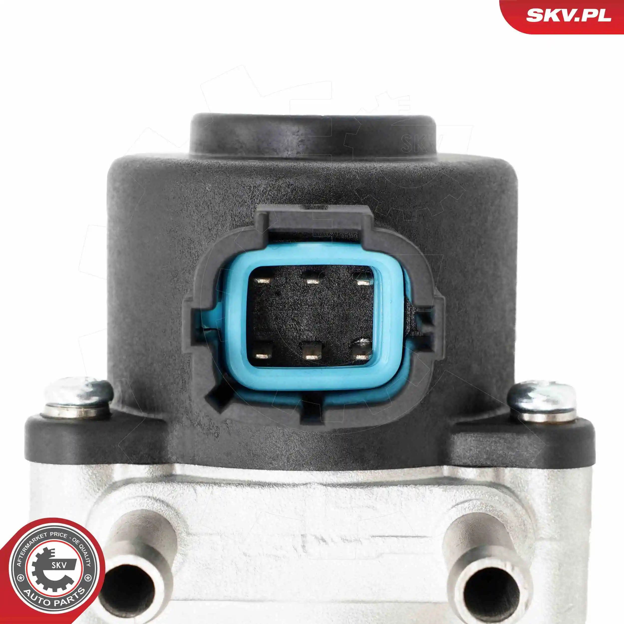 ESEN SKV 14SKV271 EGR Valve