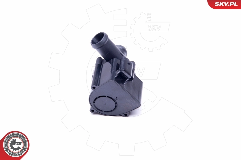 Water Recirculation Pump, parking heater 22SKV030