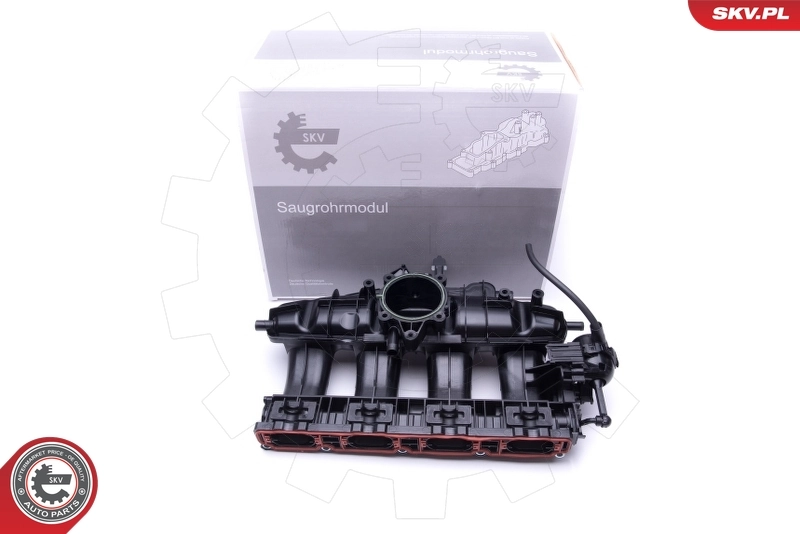 Intake Manifold Module 49SKV003