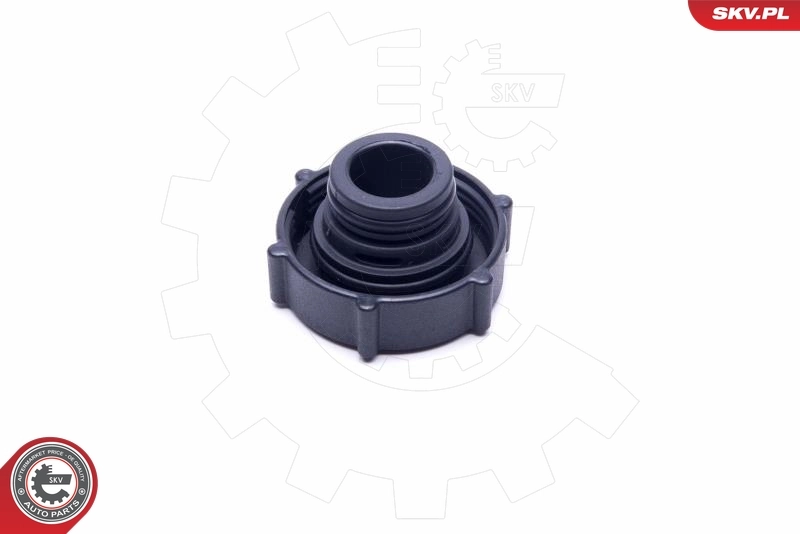 Cap, coolant tank 61SKV019
