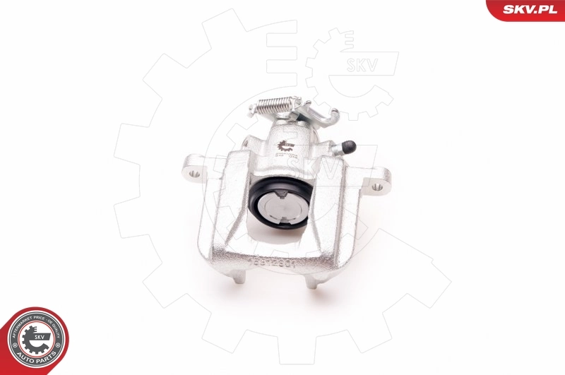 Brake Caliper 34SKV004