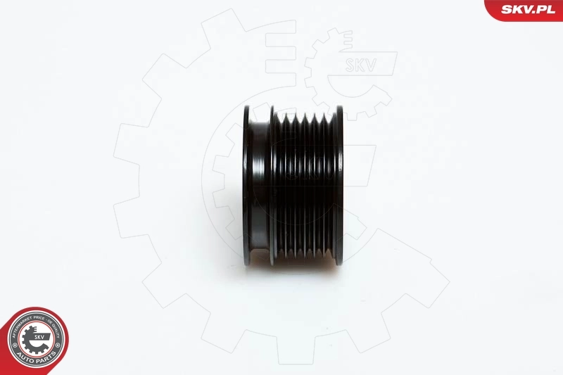 ESEN SKV 11SKV010 Alternator Freewheel Clutch