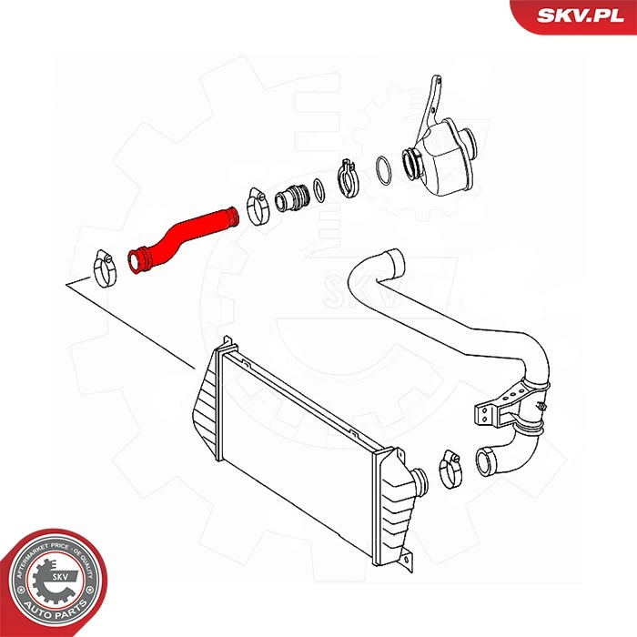 Charge Air Hose 43SKV442