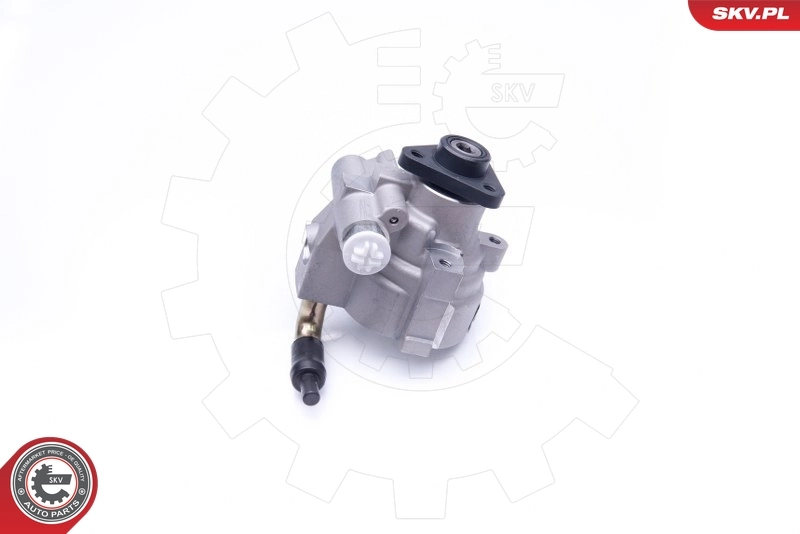 Hydraulic Pump, steering 10SKV278