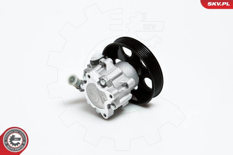 Hydraulic Pump, steering 10SKV022