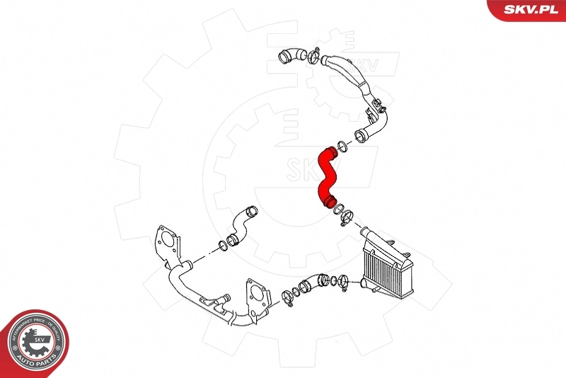 Charge Air Hose 43SKV308