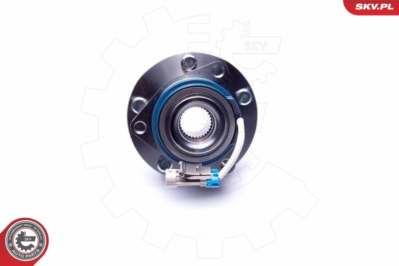 ESEN SKV 29SKV433 Wheel Bearing Kit