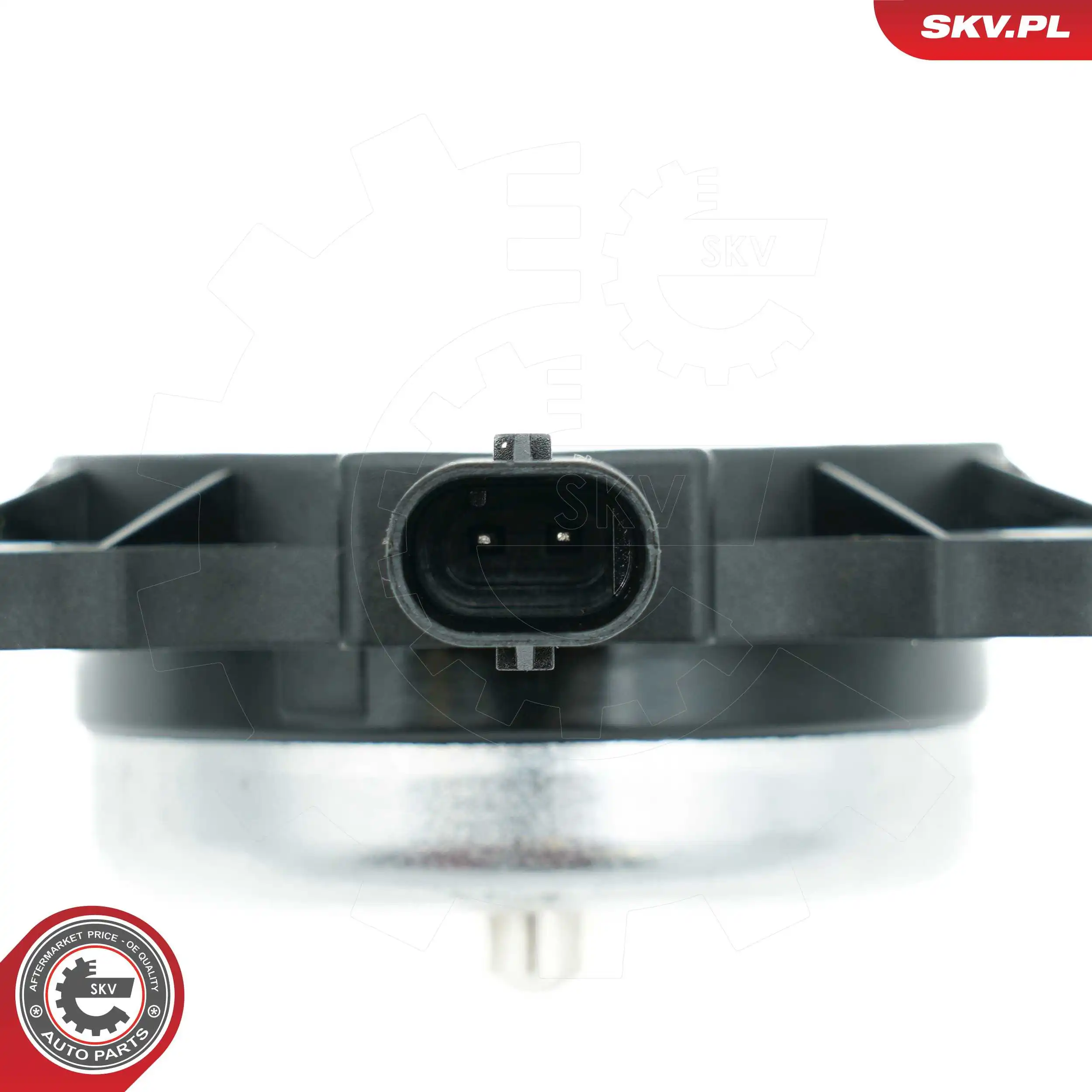 Central Magnet, camshaft adjustment 39SKV905