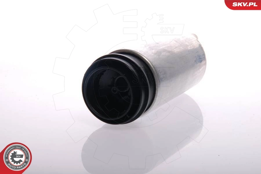 Fuel Pump 02SKV266