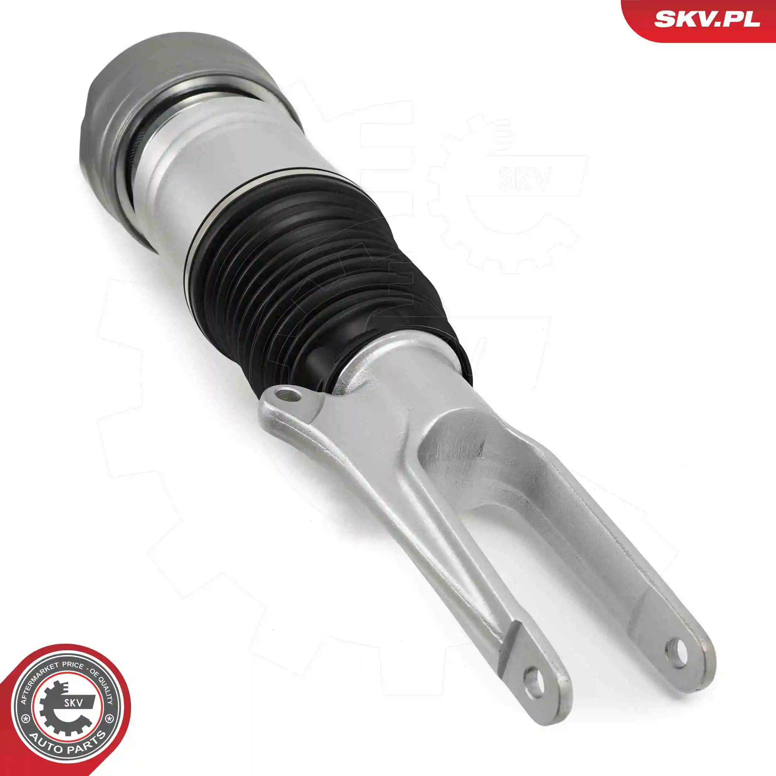 Air Suspension Strut 58SKV707