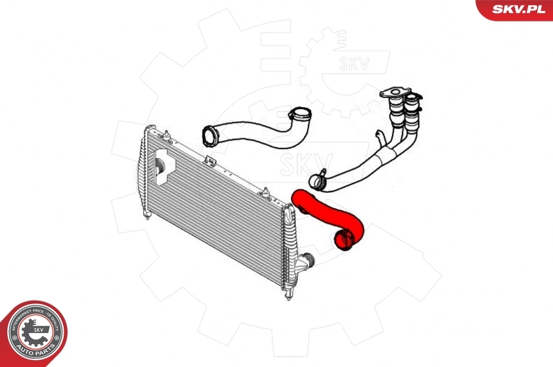Charge Air Hose 43SKV197