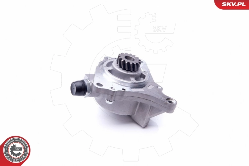 ESEN SKV 18SKV014 Vacuum Pump, braking system